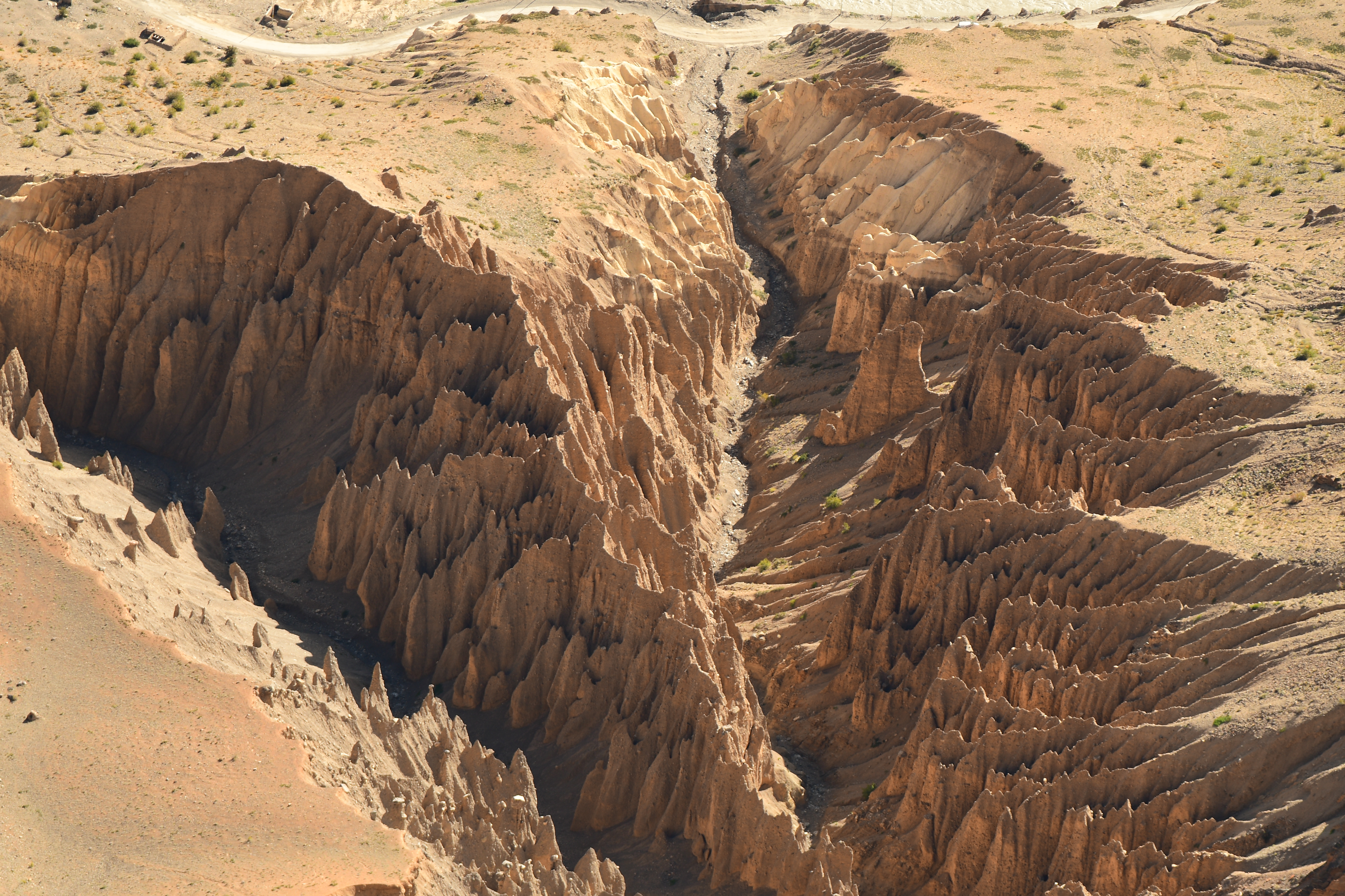 Wildlife Conservation